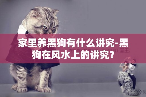 家里養黑狗有什么講究-黑狗在風水上的講究？