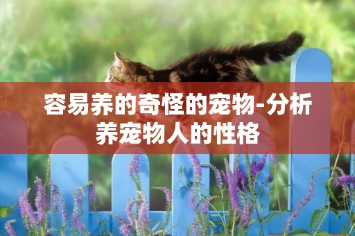 容易養的奇怪的寵物-分析養寵物人的性格