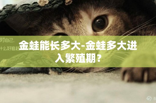 金蛙能長多大-金蛙多大進入繁殖期？