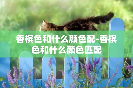 香檳色和什么顏色配-香檳色和什么顏色匹配