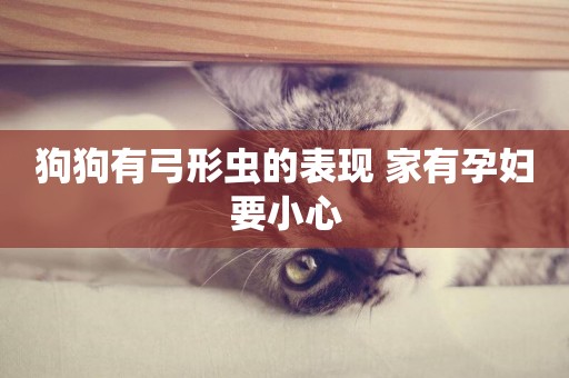 狗狗有弓形蟲的表現 家有孕婦要小心