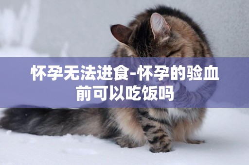 懷孕無法進食-懷孕的驗血前可以吃飯嗎
