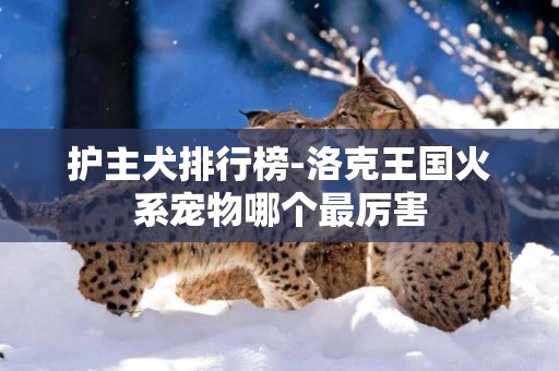 護主犬排行榜-洛克王國火系寵物哪個最厲害