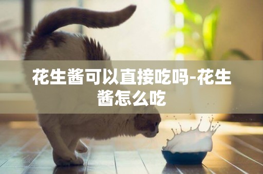 花生醬可以直接吃嗎-花生醬怎么吃