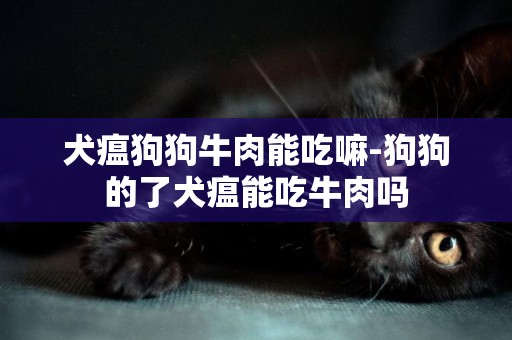 犬瘟狗狗牛肉能吃嘛-狗狗的了犬瘟能吃牛肉嗎