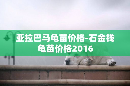 亞拉巴馬龜苗價格-石金錢龜苗價格2016