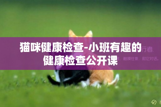 貓咪健康檢查-小班有趣的健康檢查公開課