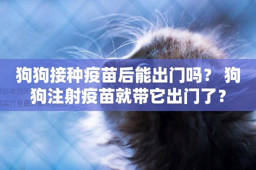 狗狗接種疫苗后能出門嗎？ 狗狗注射疫苗就帶它出門了？