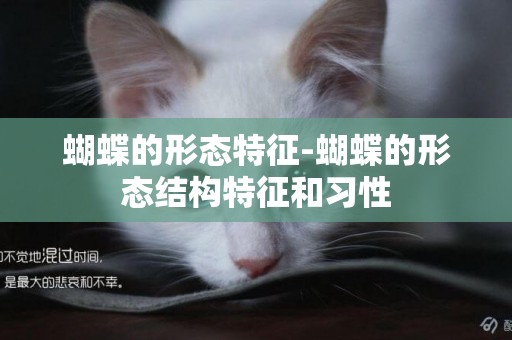 蝴蝶的形態特征-蝴蝶的形態結構特征和習性