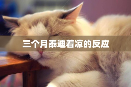 三個月泰迪著涼的反應