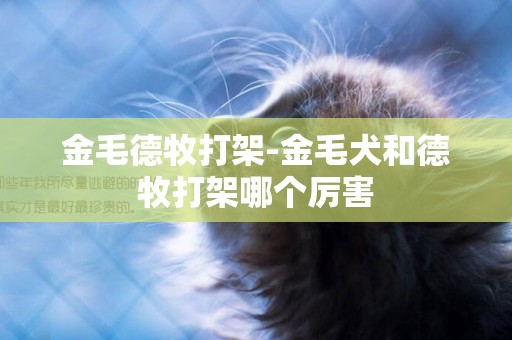金毛德牧打架-金毛犬和德牧打架哪個厲害