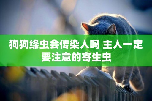 狗狗絳蟲會傳染人嗎 主人一定要注意的寄生蟲
