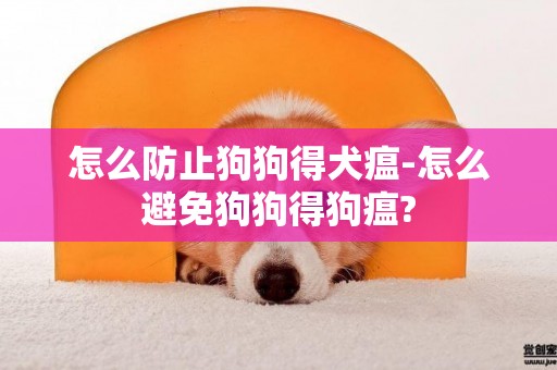 怎么防止狗狗得犬瘟-怎么避免狗狗得狗瘟?