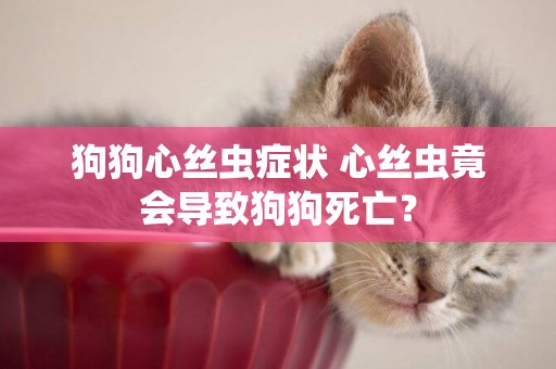 狗狗心絲蟲癥狀 心絲蟲竟會導致狗狗死亡？