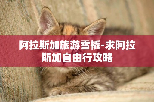 阿拉斯加旅游雪橇-求阿拉斯加自由行攻略
