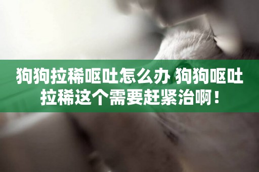狗狗拉稀嘔吐怎么辦 狗狗嘔吐拉稀這個需要趕緊治啊！