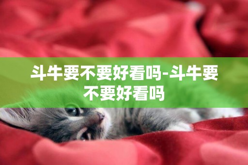 斗牛要不要好看嗎-斗牛要不要好看嗎