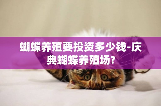 蝴蝶養殖要投資多少錢-慶典蝴蝶養殖場?