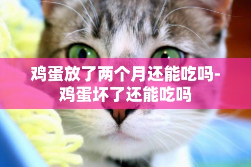 雞蛋放了兩個月還能吃嗎-雞蛋壞了還能吃嗎
