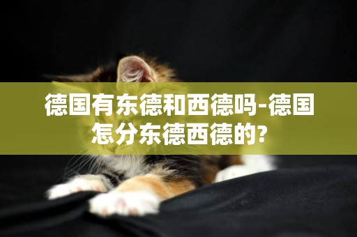 德國有東德和西德嗎-德國怎分東德西德的?
