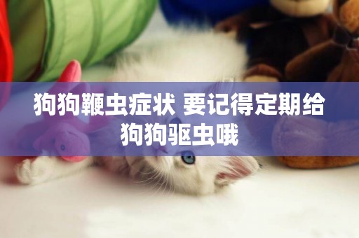 狗狗鞭蟲癥狀 要記得定期給狗狗驅蟲哦