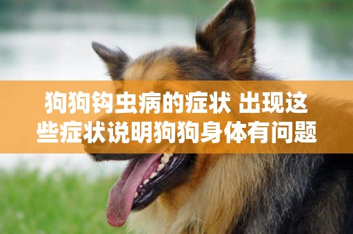狗狗鉤蟲病的癥狀 出現這些癥狀說明狗狗身體有問題哦