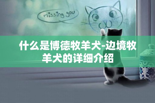 什么是博德牧羊犬-邊境牧羊犬的詳細介紹