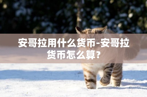 安哥拉用什么貨幣-安哥拉貨幣怎么算？