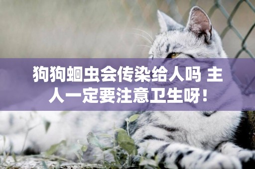狗狗蛔蟲會傳染給人嗎 主人一定要注意衛生呀！