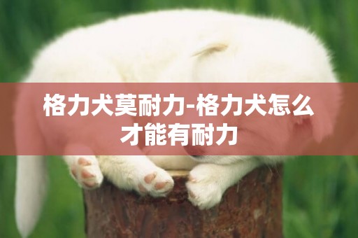 格力犬莫耐力-格力犬怎么才能有耐力