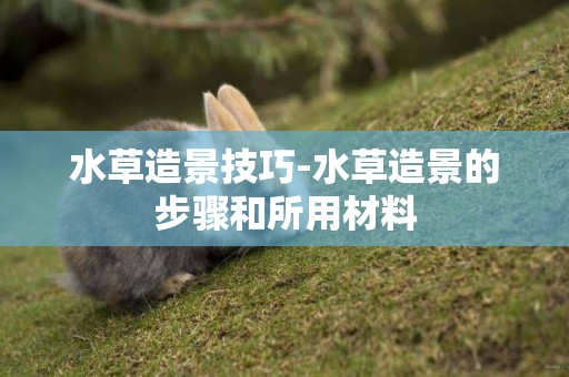 水草造景技巧-水草造景的步驟和所用材料