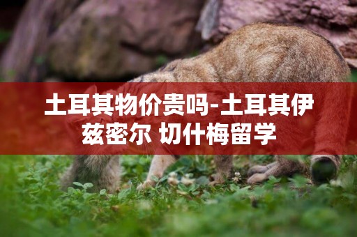 土耳其物價貴嗎-土耳其伊茲密爾?切什梅留學