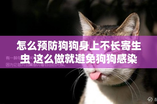 怎么預防狗狗身上不長寄生蟲 這么做就避免狗狗感染寄生蟲