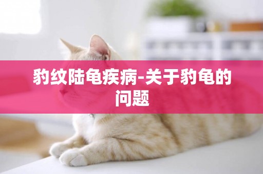 豹紋陸龜疾病-關于豹龜的問題