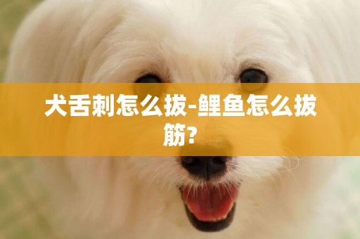 犬舌刺怎么拔-鯉魚怎么拔筋?