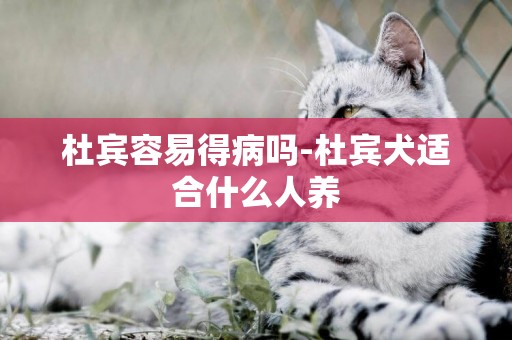 杜賓容易得病嗎-杜賓犬適合什么人養