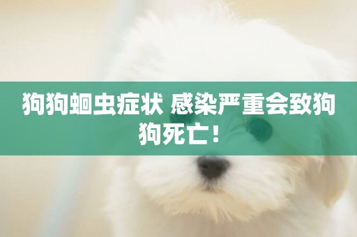 狗狗蛔蟲癥狀 感染嚴重會致狗狗死亡！