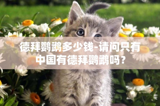 德拜鸚鵡多少錢-請問只有中國有德拜鸚鵡嗎？