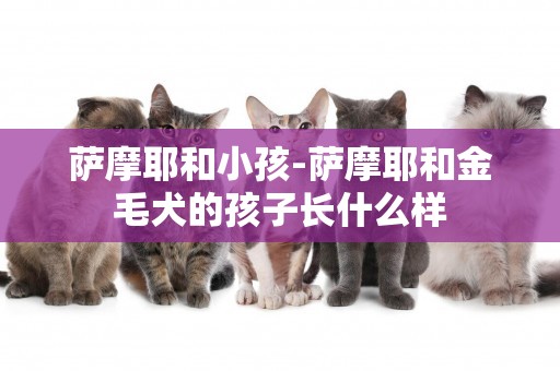薩摩耶和小孩-薩摩耶和金毛犬的孩子長什么樣