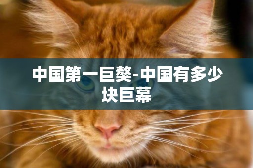 中國第一巨獒-中國有多少塊巨幕