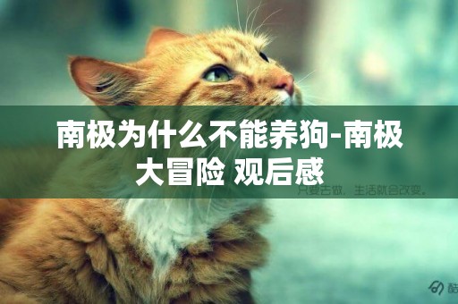 南極為什么不能養狗-南極大冒險?觀后感