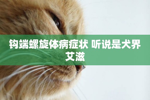 鉤端螺旋體病癥狀 聽說是犬界艾滋
