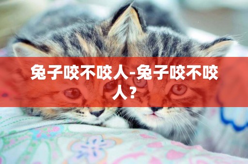 兔子咬不咬人-兔子咬不咬人？
