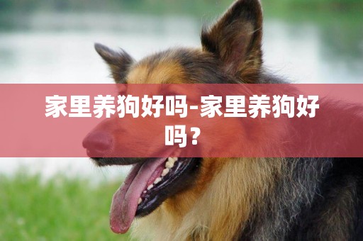 家里養狗好嗎-家里養狗好嗎？
