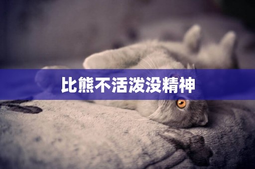 比熊不活潑沒精神