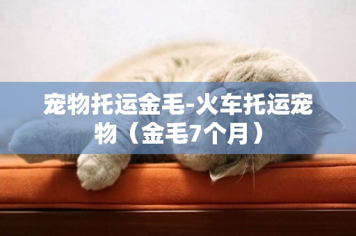寵物托運金毛-火車托運寵物（金毛7個月）