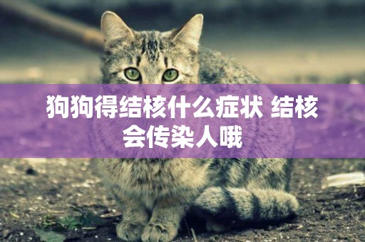 狗狗得結核什么癥狀 結核會傳染人哦