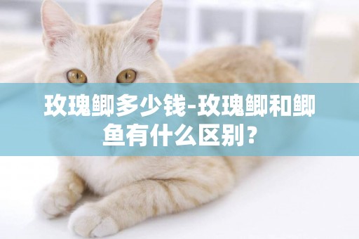 玫瑰鯽多少錢-玫瑰鯽和鯽魚有什么區別？