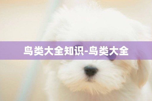 鳥類大全知識-鳥類大全