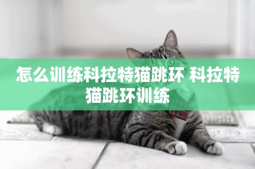 怎么訓練科拉特貓跳環 科拉特貓跳環訓練